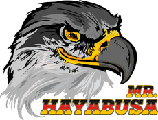 Mr. Hayabusa-Falkenkopf-Logo