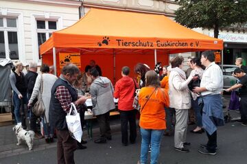 6x3m QUICKUPTENT Infostand mit bedrucktem Volant